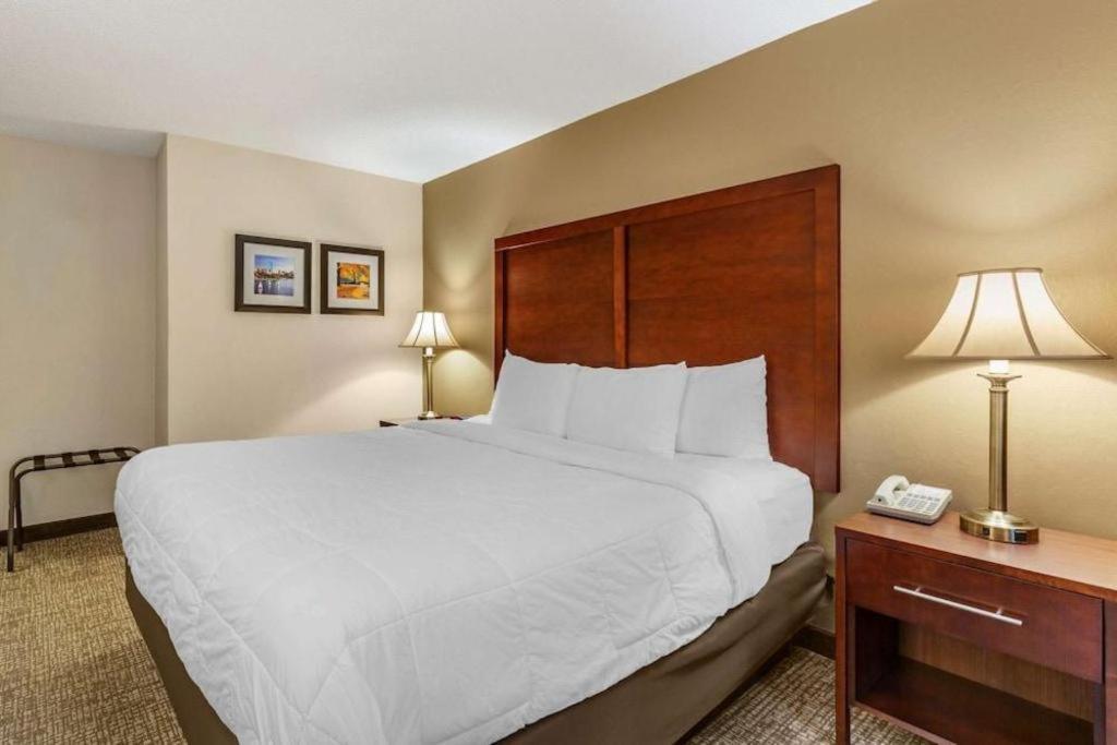 Comfort Inn Foxboro - Mansfield Foxborough Esterno foto