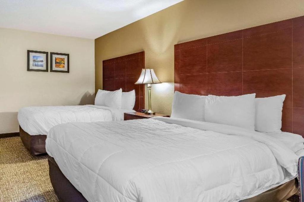 Comfort Inn Foxboro - Mansfield Foxborough Esterno foto