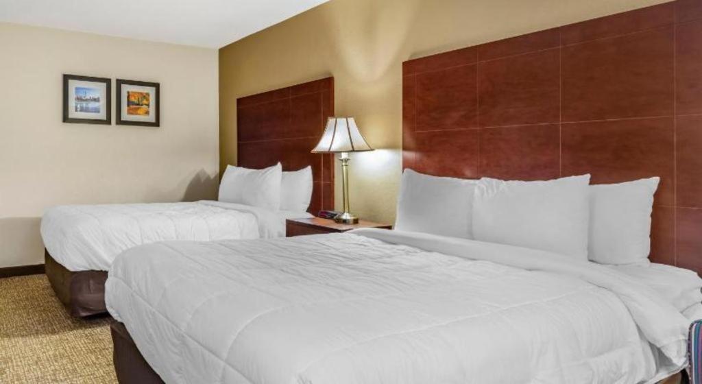 Comfort Inn Foxboro - Mansfield Foxborough Esterno foto