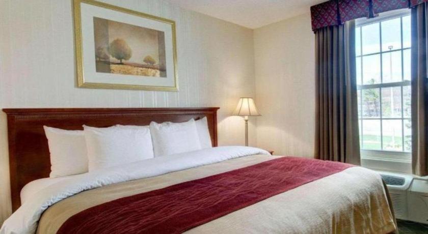 Comfort Inn Foxboro - Mansfield Foxborough Esterno foto